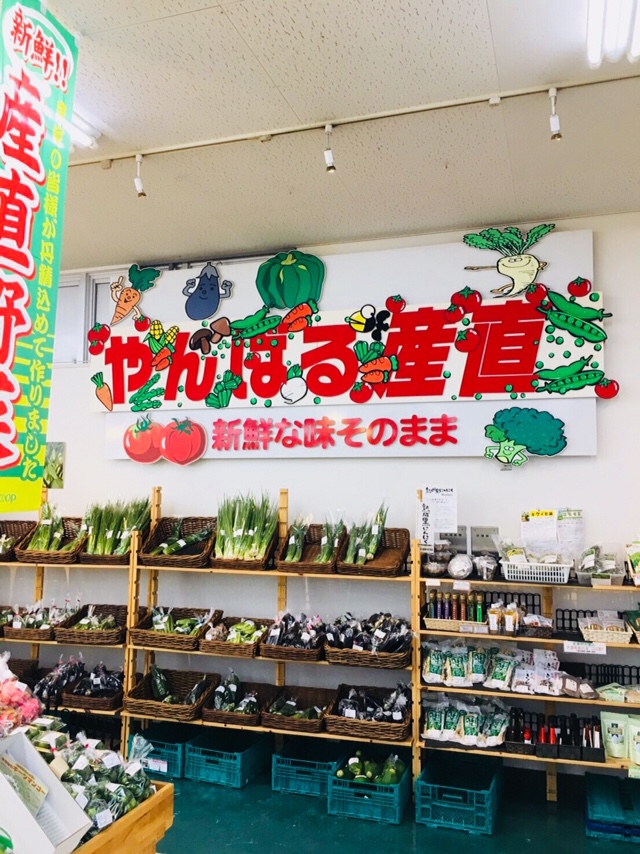県内野菜
