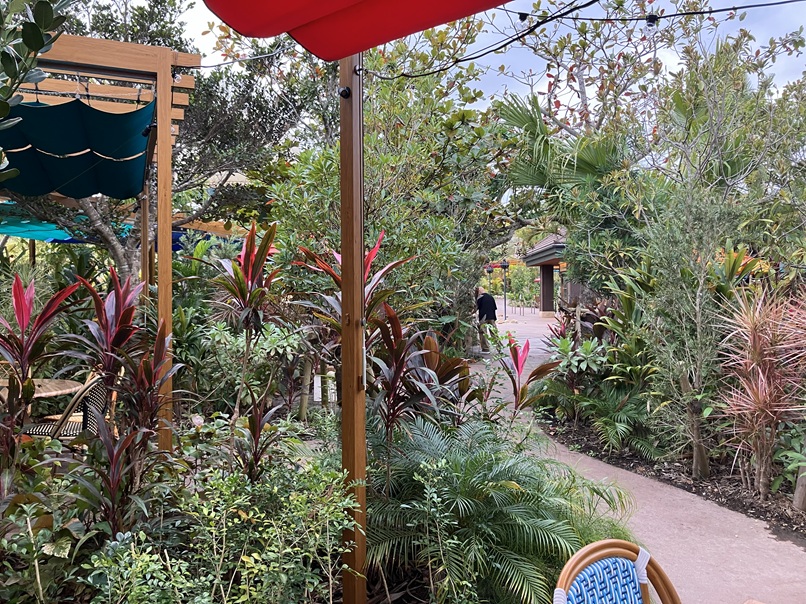 ワイルドバンケット