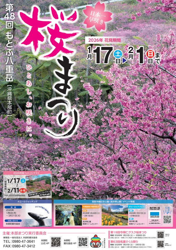 桜祭り2